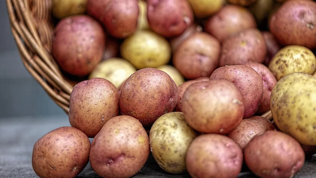 Are Potatoes Gluten-Free?